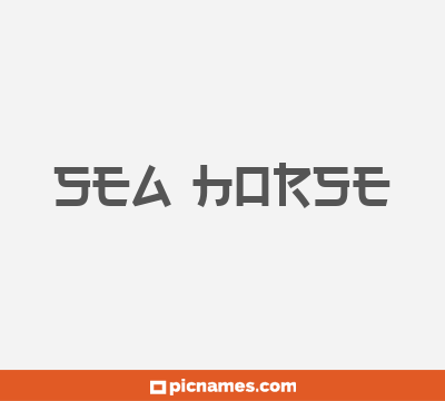 Sea Horse